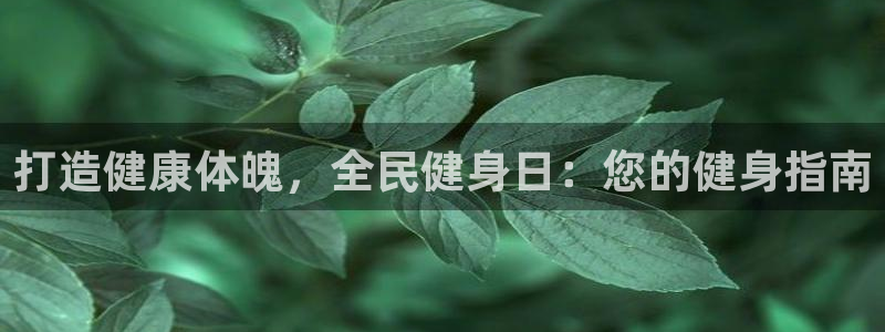 凯时登录界面：打造健康体魄，全民健身日：您的健身指南